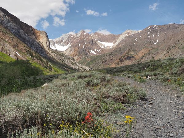 Omgeving Mammoth Lakes